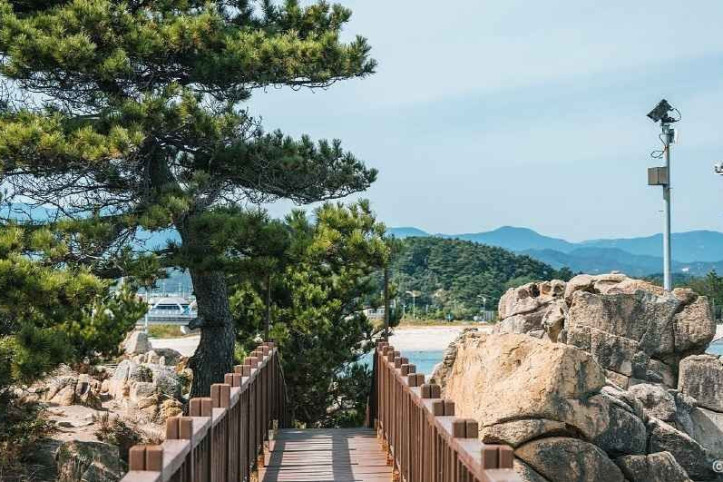 능파대 (강원평화지역 국가지질공원) 여행 추천 - 메고지고