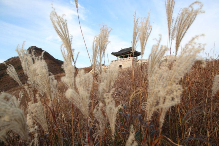 황매산(산청) 여행 추천 - 메고지고