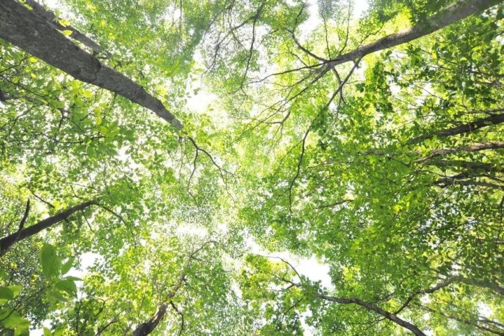 용화산 (강원평화지역 국가지질공원) 여행 추천 - 메고지고