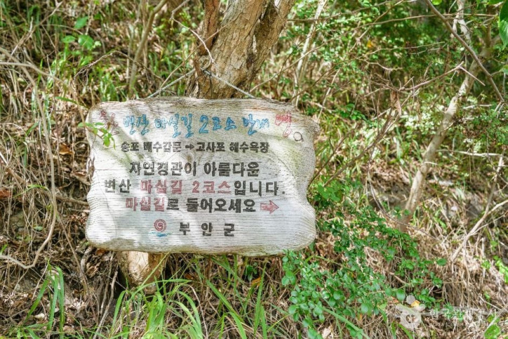 송포항 여행 추천 - 메고지고