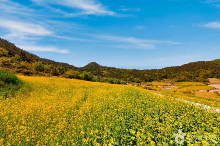 선학동 마을 여행 추천 - 메고지고