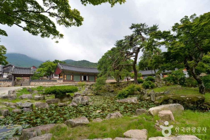 대흥사(해남) 여행 추천 - 메고지고