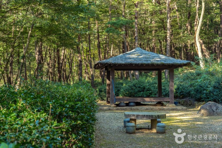 구례장죽전녹차시배지 여행 추천 - 메고지고