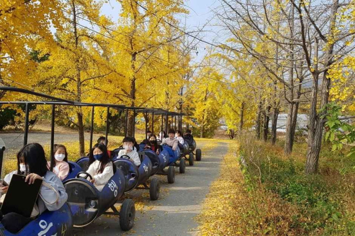 정촌유기농원 여행 추천 - 메고지고