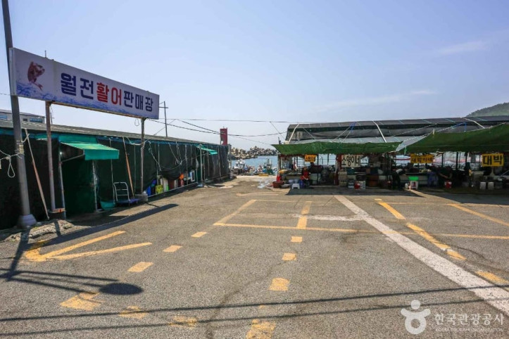 월전포구(월전방파제) 여행 추천 - 메고지고