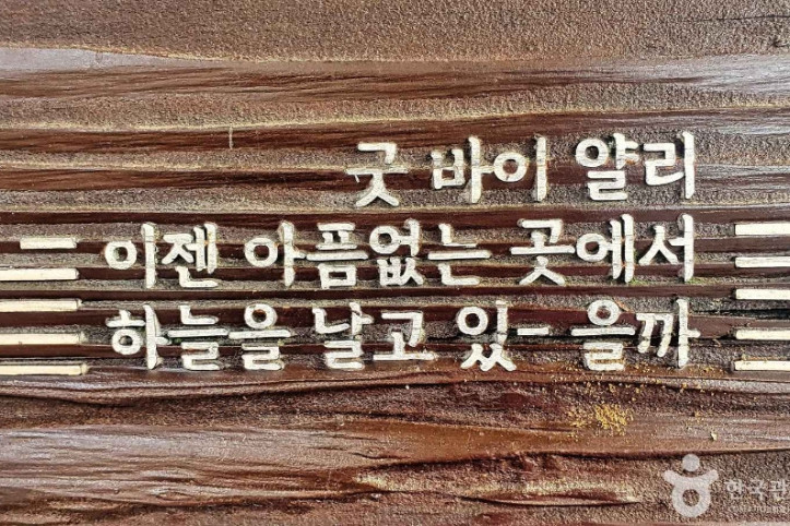 신해철거리(성남) 여행 추천 - 메고지고