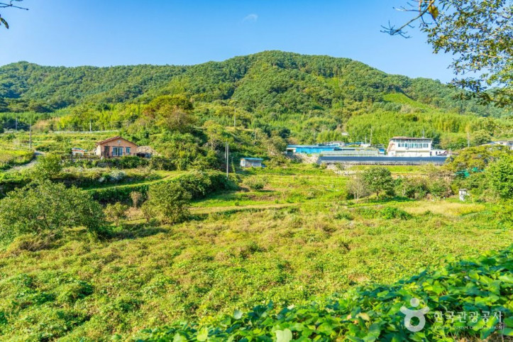 궁항마을 여행 추천 - 메고지고