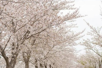 강릉아트센터 여행 추천 - 메고지고