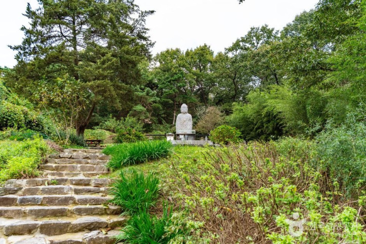 아산 평촌리 석조약사여래입상 여행 추천 - 메고지고