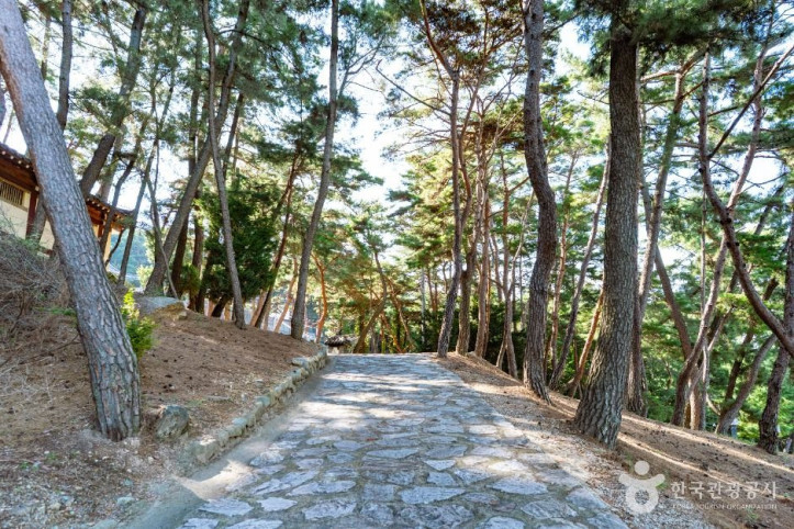 보리사(경주) 여행 추천 - 메고지고