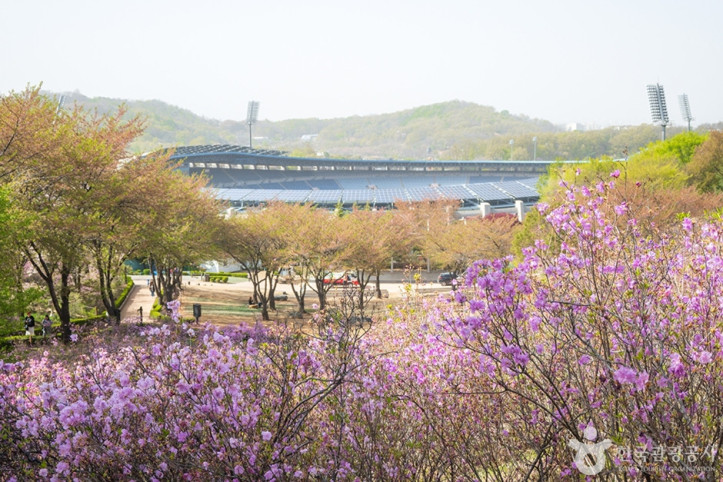 진달래동산 여행 추천 - 메고지고