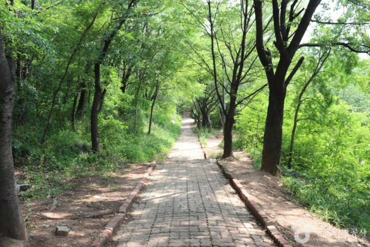 침산공원 여행 추천 - 메고지고