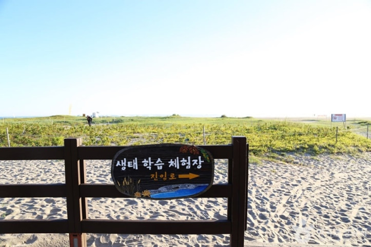 다대포생태탐방로 여행 추천 - 메고지고