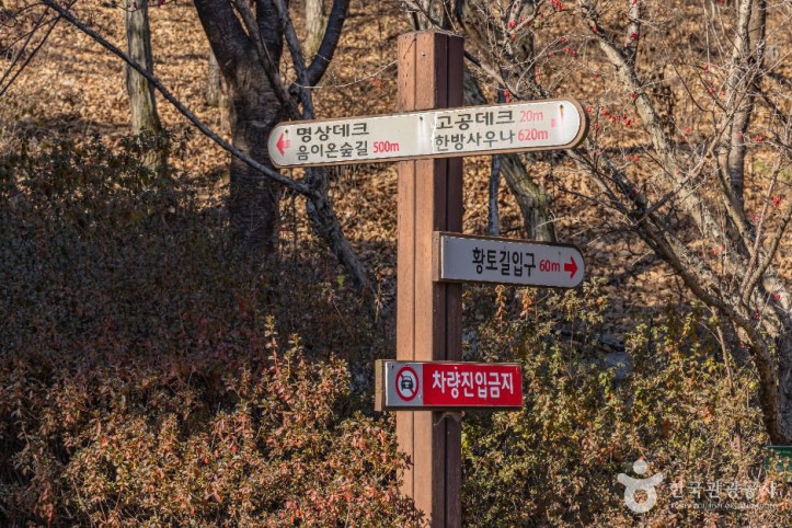 성주봉자연휴양림 여행 추천 - 메고지고