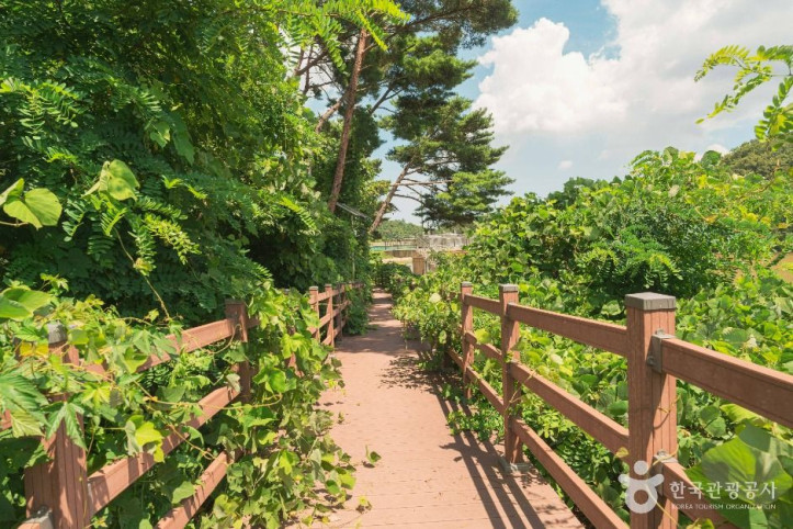 두현저수지 여행 추천 - 메고지고