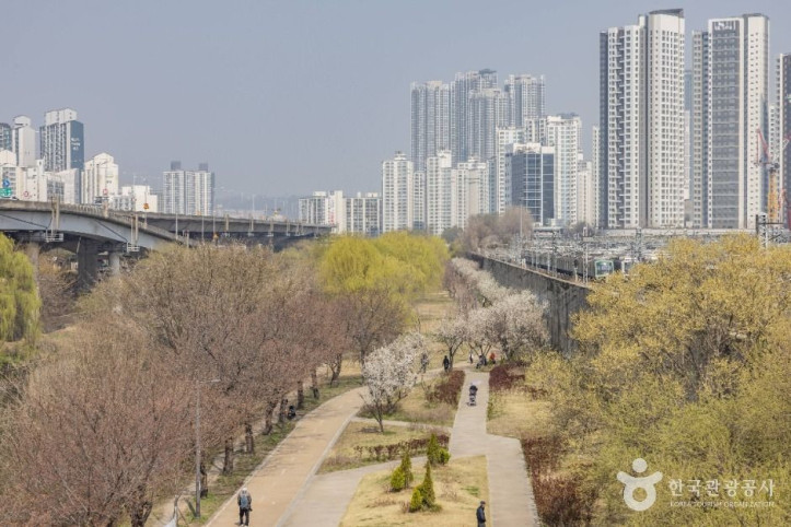하동매실거리 여행 추천 - 메고지고