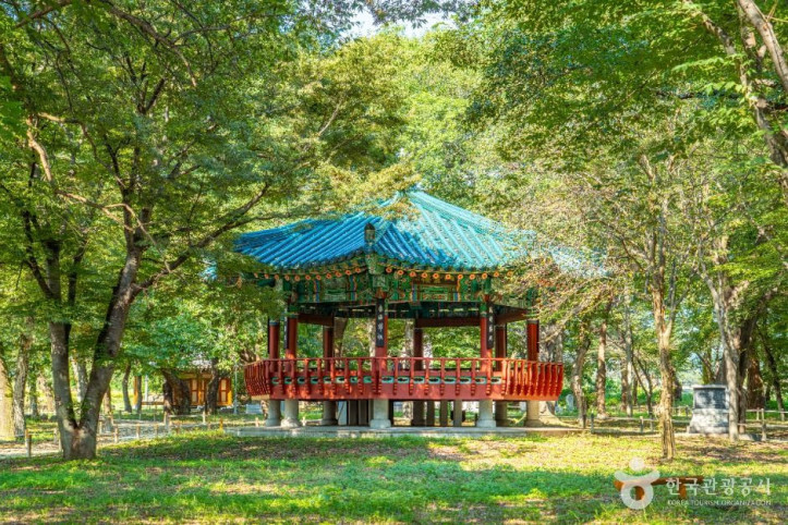 악양 취간림 여행 추천 - 메고지고