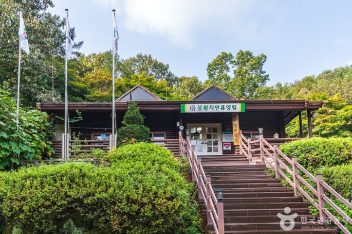 봉황자연휴양림 여행 추천 - 메고지고