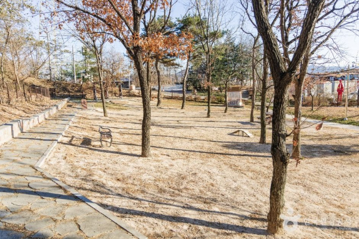 포항댕댕동산 여행 추천 - 메고지고