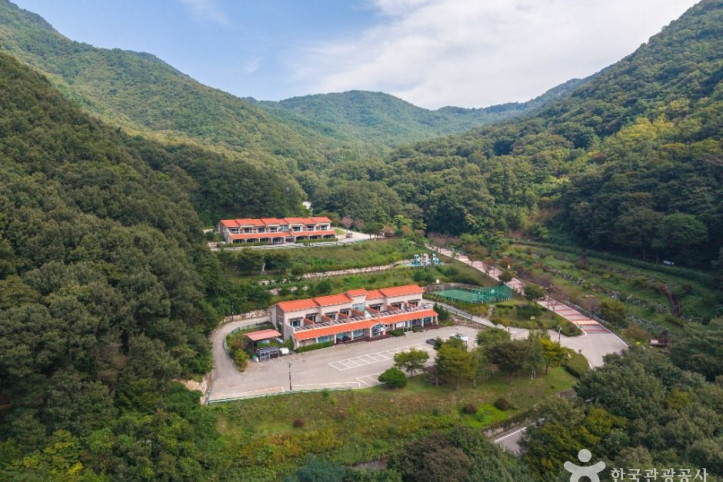 팔공산금화자연휴양림 여행 추천 - 메고지고