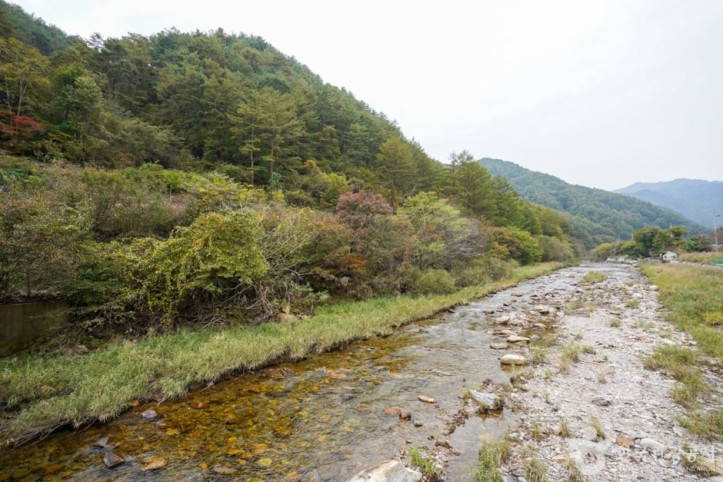고선계곡(구마계곡) 여행 추천 - 메고지고