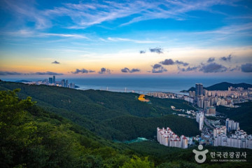 마하사(부산) 여행 추천 - 메고지고