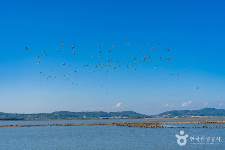 백미항 여행 추천 - 메고지고