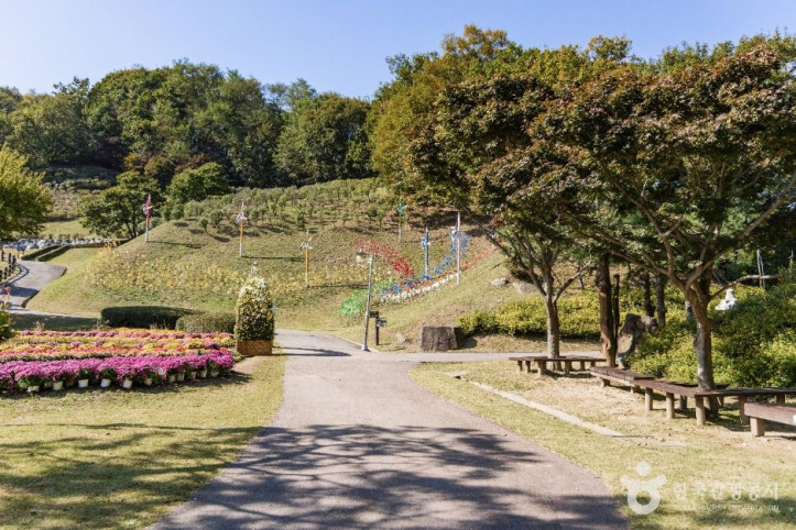 용인농촌테마파크 여행 추천 - 메고지고