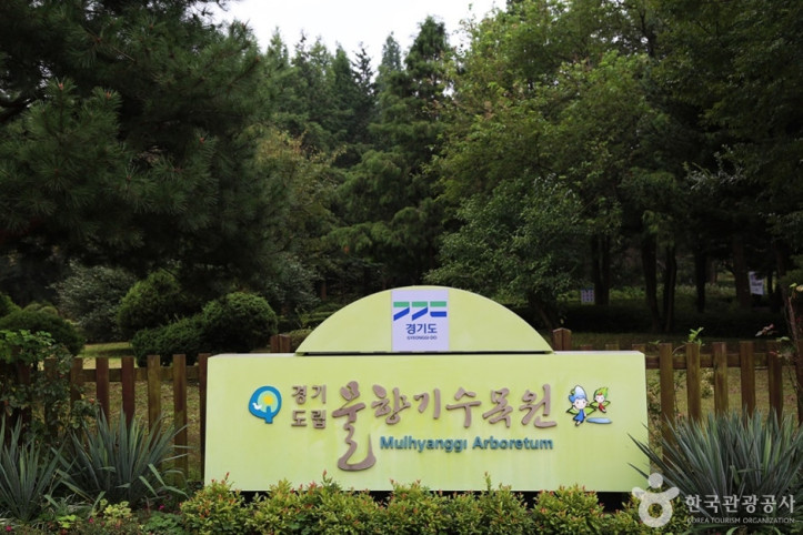 물향기수목원 여행 추천 - 메고지고