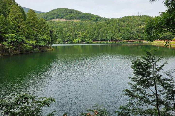 미평 봉화산 산림욕장 여행 추천 - 메고지고