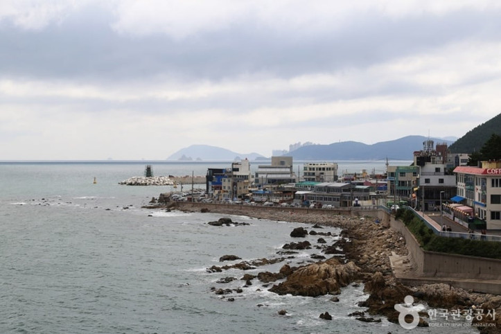 청사포 횟집촌 여행 추천 - 메고지고
