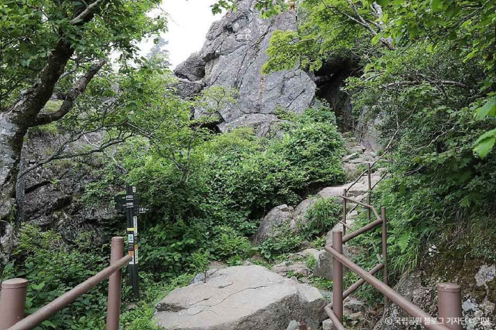 지리산국립공원(함양) 여행 추천 - 메고지고