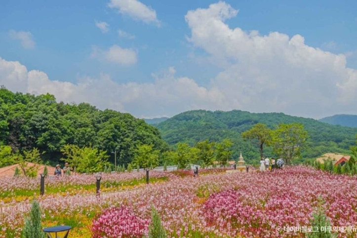 용인자작나무숲 여행 추천 - 메고지고