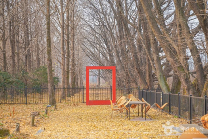 파머스가든봄 여행 추천 - 메고지고