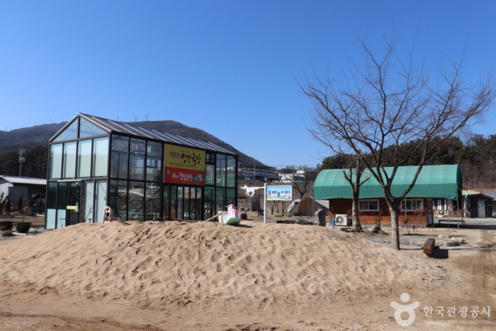 포니힐링관광농원 여행 추천 - 메고지고