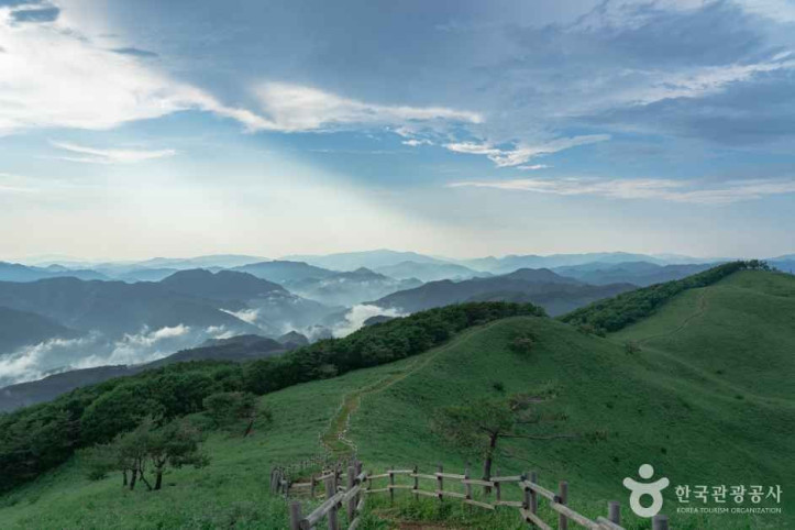 민둥산 여행 추천 - 메고지고