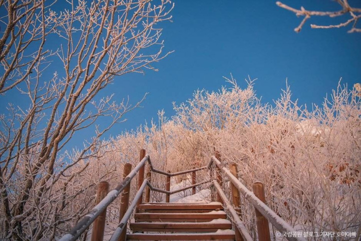 소백산국립공원(경북) 여행 추천 - 메고지고