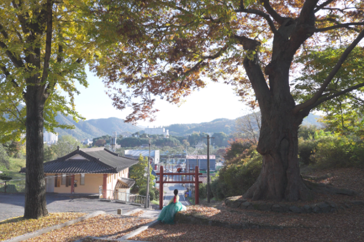 괴산향교 여행 추천 - 메고지고