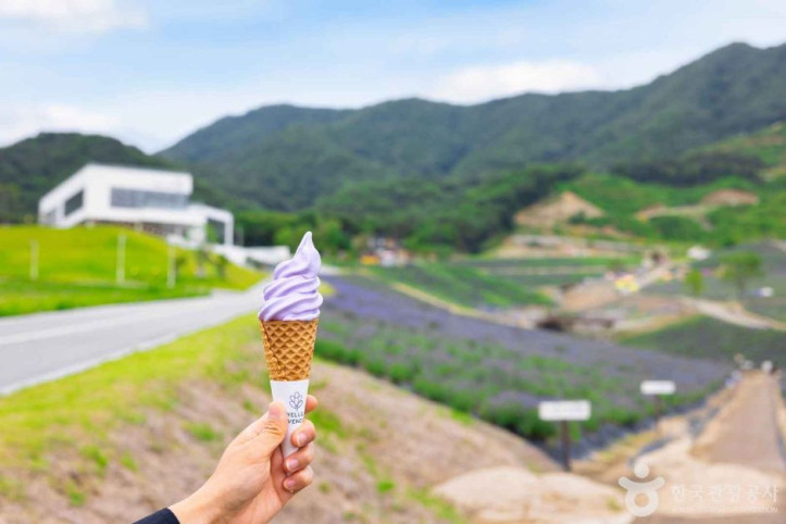 정읍 허브원 여행 추천 - 메고지고
