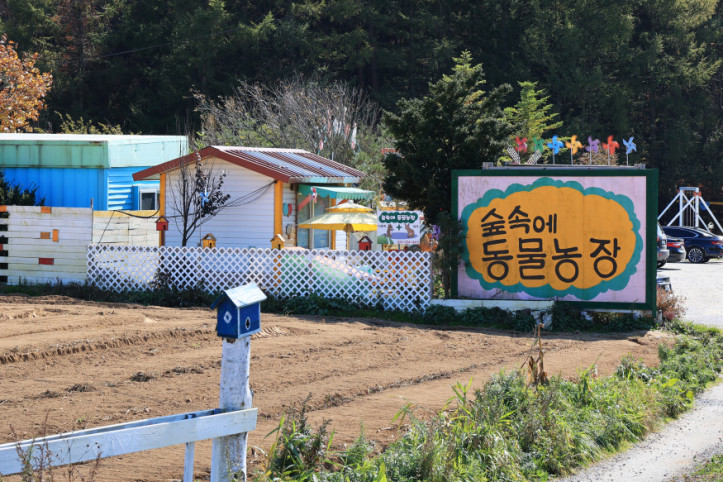 숲속에 동물농장 여행 추천 - 메고지고