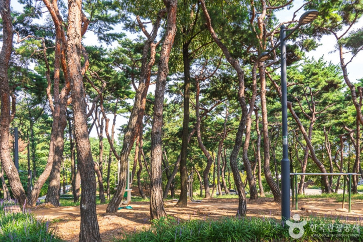 청주 발산공원 여행 추천 - 메고지고