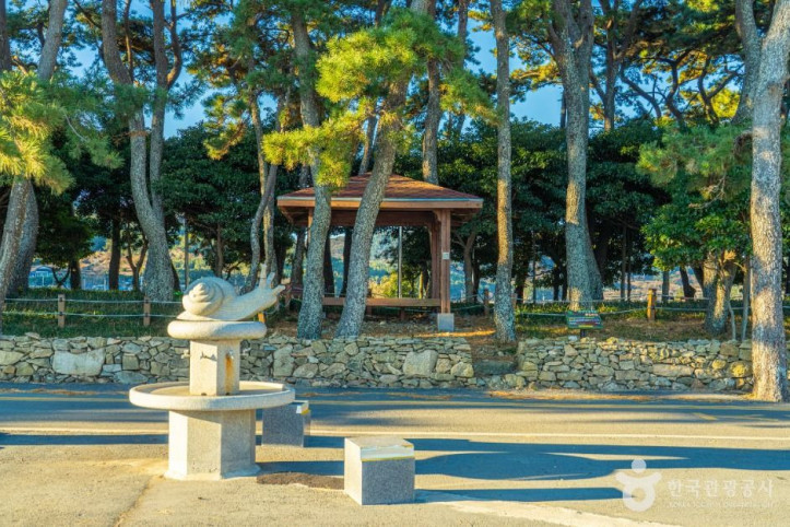 신흥해수욕장 여행 추천 - 메고지고