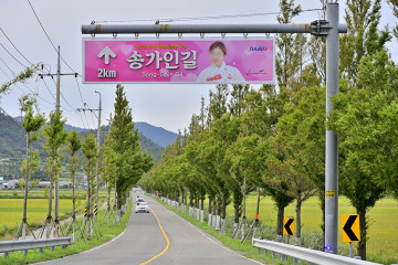 진도 소포검정쌀마을 여행 추천 - 메고지고