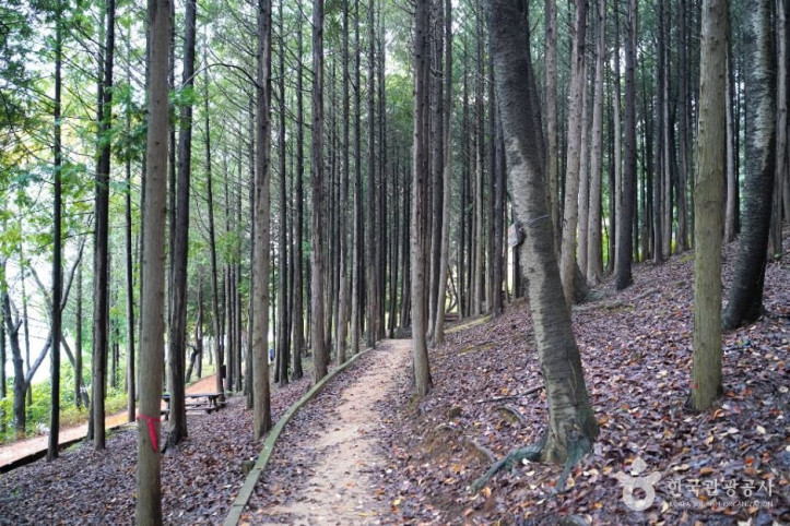 땅뫼산 여행 추천 - 메고지고
