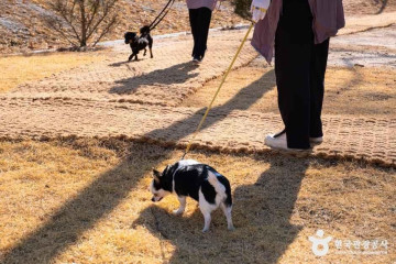 대법사(여주) 여행 추천 - 메고지고