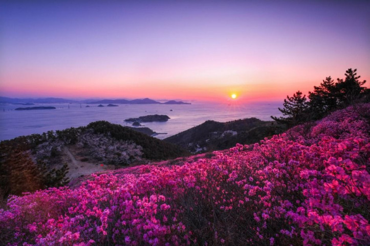 대금산(거제) 여행 추천 - 메고지고