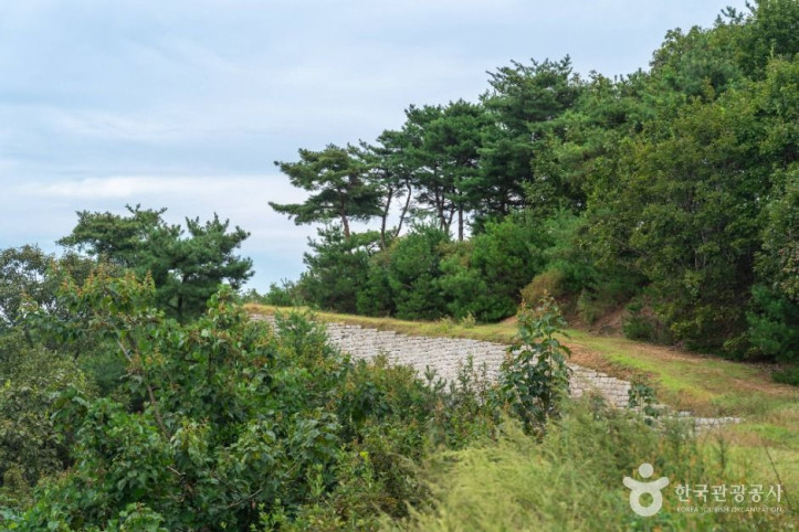 충주 장미산성 여행 추천 - 메고지고