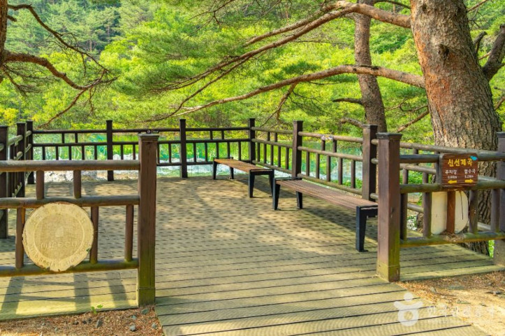 신선계곡 여행 추천 - 메고지고