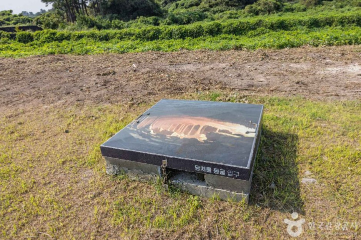 제주 당처물동굴 [유네스코 세계자연유산] 여행 추천 - 메고지고