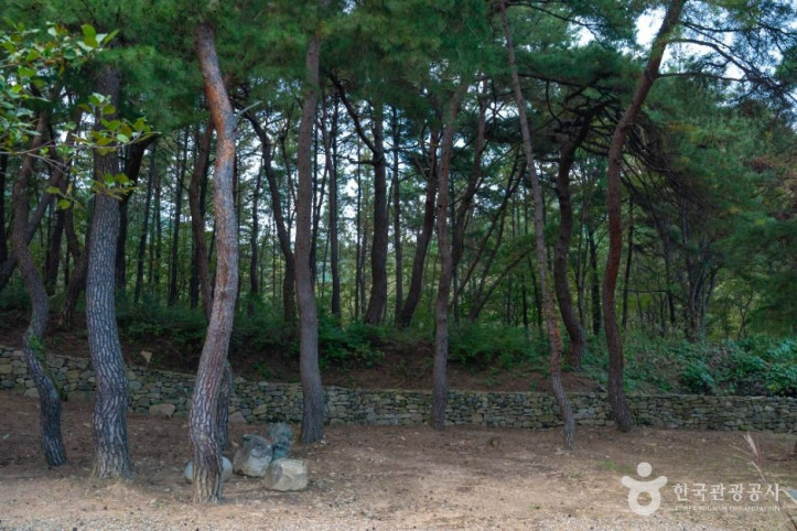 대곡사(의성) 여행 추천 - 메고지고